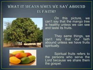 On this picture, we
can’t say that the mango tree
is healthy unless we can see
and taste its fruits.
They same things, we
can’t say that our faith
abound unless we have fruits
spiritually.
Spiritual fruits refers to
the persons who serve the
Lord because we share them
the gospel.

 