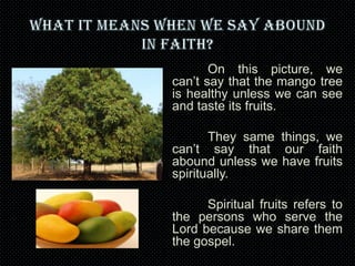 On this picture, we
can’t say that the mango tree
is healthy unless we can see
and taste its fruits.
They same things, we
can’t say that our faith
abound unless we have fruits
spiritually.
Spiritual fruits refers to
the persons who serve the
Lord because we share them
the gospel.

 