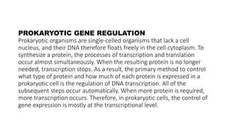 Comparison between the regulation of gene expression in prokaryotes and ...