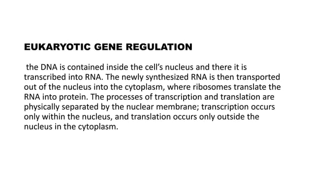 Comparison between the regulation of gene expression in prokaryotes and ...