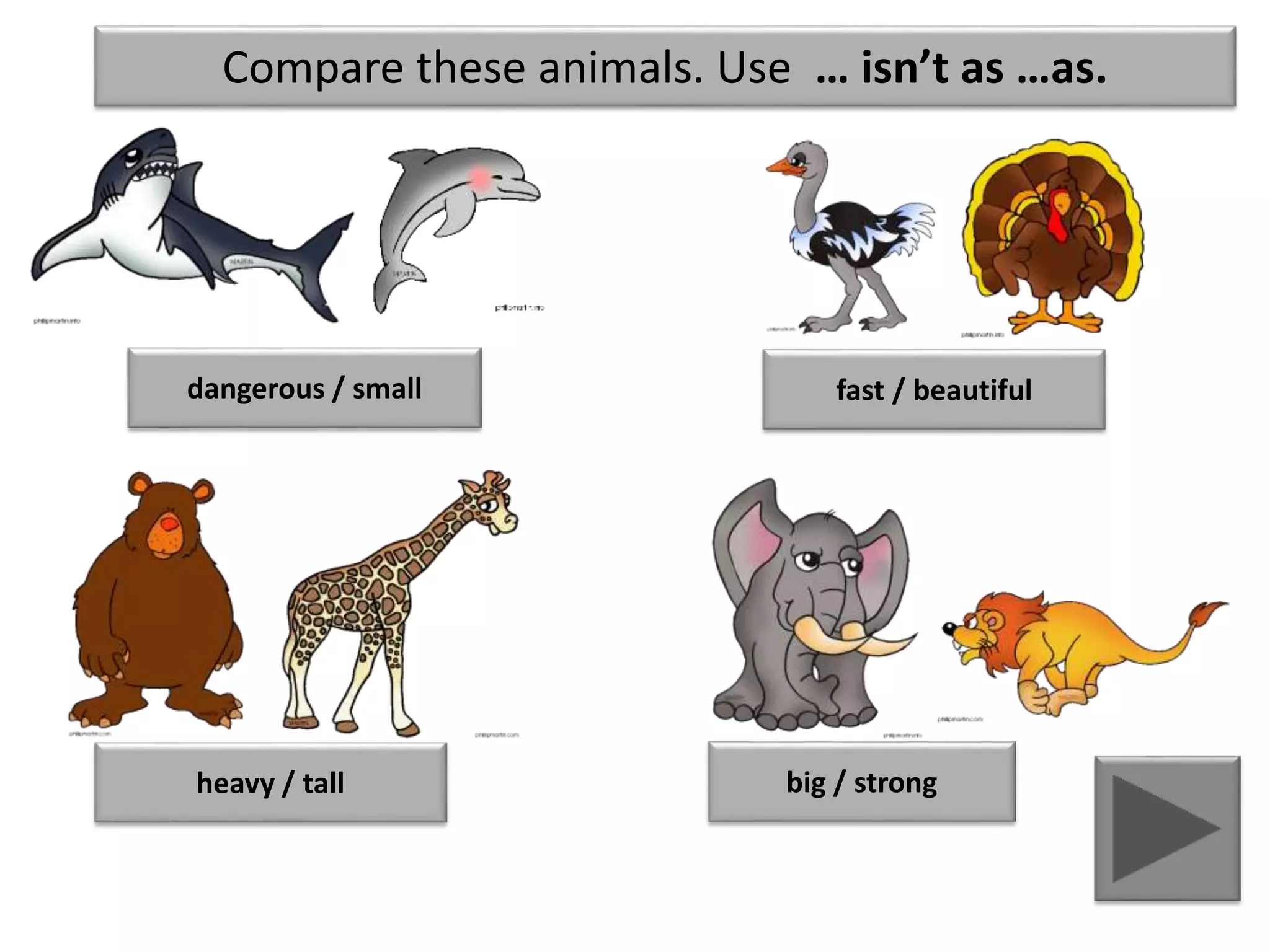 Compare these animals. Use … isn’t as …as.
dangerous / small
heavy / tall
fast / beautiful
big / strong