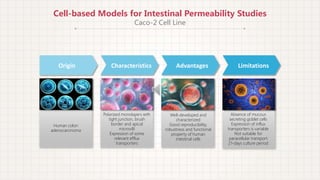 Comparison of caco 2 with other cell-based models for intestinal ...