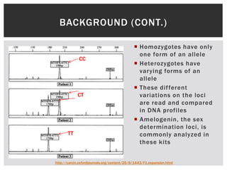 BACKGROUND (CONT.)

                                              Homozygotes have only
                                               one form of an allele
             CC
                                              Heterozygotes have
                                               varying forms of an
                                               allele
                                              These dif ferent
            CT                                 variations on the loci
                                               are read and compared
                                               in DNA profiles
                                              Amelogenin, the sex
                                               determination loci, is
       TT                                      commonly analyzed in
                                               these kits


http://carcin.oxfordjournals.org/content/25/8/1443/F1.expansion.html
 