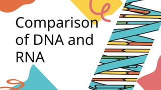 Comparison of DNA and RNA PRESENTATION FOR GRADE 10 | PPTX