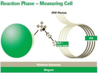 Elfa Testing Comparison of hormonal assay by ELISA , ELFA and ECL | PPTX