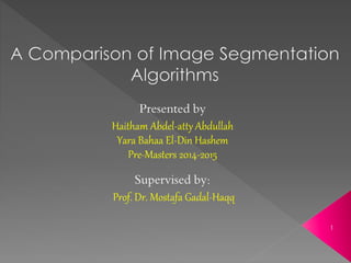 Presented by
Haitham Abdel-atty Abdullah
Yara Bahaa El-Din Hashem
Pre-Masters 2014-2015
Supervised by:
Prof. Dr. Mostafa Gadal-Haqq
1
 