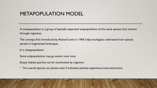 comparison of metapopulation and logistic population model (1).pptx