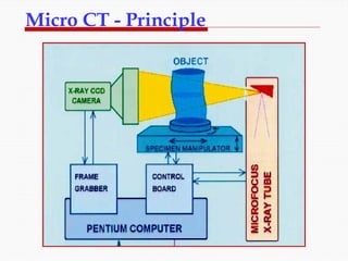 A Comparison of micro CT with other techniques used in the ...