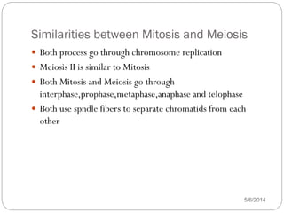 what are the similarities between mitosis and meiosis