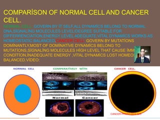 COMPARİSON OF NORMAL CELL AND CANCER
CELL.
NORMAL CELL: GOVERN BY İT SELF,ALL DYNAMİCS BELONG TO NORMAL
DNA,SİGNALİNG MOLECULES LEVEL/DEGREE SUİTABLE FOR
DİFFERRENCİATİON,ENERGY LEVEL ADEQUATE,VİTAL DYNAMİCS WORKS AS
HOMEOSTATİC BALANCED.CANCER CELL: GOVERN BY MUTATİONS
DOMİNANTLY,MOST OF DOMİNATİVE DYNAMİCS BELONG TO
MUTATİONS,SİGNALİNG MOLECULES HİGH LEVEL THAT CAUSE İMMATURE
CONDİTİON,İNADEQUATE ENERGY ,VİTAL DYNAMİCS LOST HOMEOSTATİC
BALANCED.VİDEO:
CANCER PHOTO 22.9.12/5
 