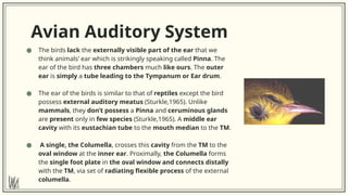 COMPARISON OF THE AUDITORY SYSTEM IN LOWER ANIMALS AND HUMANS.pptx