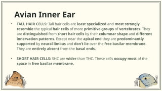 COMPARISON OF THE AUDITORY SYSTEM IN LOWER ANIMALS AND HUMANS.pptx