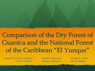 Comparison of the Dry Forest of
Guanica and the National Forest
 of the Caribbean “El Yunque”
Group #1: Carla J. Figueroa   Zuleika Velázquez   Crystal K. Colón
          Luis F. Centeno     Gustavo Martínez    John E. Muñoz
 