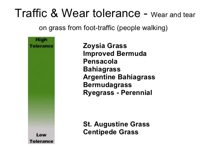 Comparison Of Warm Season Turfgrasses