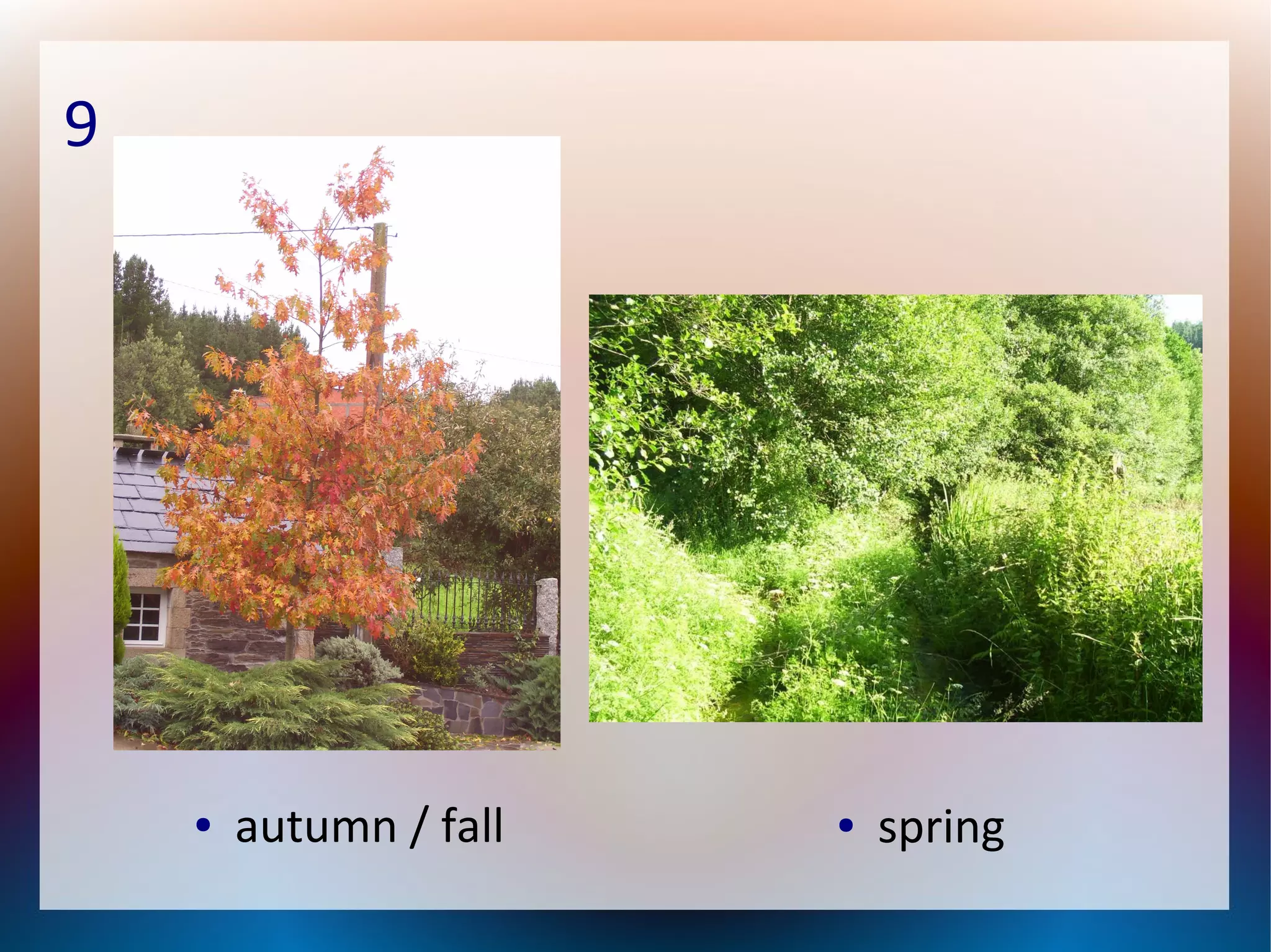 9
● autumn / fall ● spring