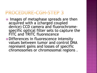  Images of metaphase spreads are then
acquired with a (charged coupled
device) CCD camera and fluorochrome-
specific optical filter sets to capture the
FITC and TRITC fluorescence
Differences in fluorescence intensity
values between tumor and control DNA
represent gains and losses of specific
chromosomes or chromosomal regions .
 
