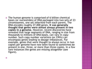  The human genome is comprised of 6 billion chemical
bases (or nucleotides) of DNA packaged into two sets of 23
chromosomes, one set inherited from each parent. The
DNA encodes roughly 27,000 genes. It was generally
thought that genes were almost always present in two
copies in a genome. However, recent discoveries have
revealed that large segments of DNA, ranging in size from
thousands to millions of DNA bases, can vary in copy-
number. Such copy number variations (or CNVs) can
encompass genes leading to dosage imbalances. For
example, genes that were thought to always occur in two
copies per genome have now been found to sometimes be
present in one, three, or more than three copies. In a few
rare instances the genes are missing altogether (see
figure).

 