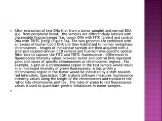  After extraction of test DNA (i.e. from a tumor sample) and normal DNA
(i.e. from peripheral blood), the samples are differentially labeled with
discernable fluorochromes (i.e. tumor DNA with FITC [green] and control
DNA with TRITC [red]) (Figure 3A). The two genomes are combined with
an excess of human Cot-1 DNA and then hybridized to normal metaphase
chromosomes . Images of metaphase spreads are then acquired with a
(charged coupled device) CCD camera and fluorochrome-specific optical
filter sets to capture the FITC and TRITC fluorescence . Differences in
fluorescence intensity values between tumor and control DNA represent
gains and losses of specific chromosomes or chromosomal regions . For
example, a gain of a chromosomal region in the test sample would result
in an increased intensity of green fluorescence. A loss within a
chromosomal region in the tumor would be indicated by a shift towards
red intensities. Specialized CGH analysis software measures fluorescence
intensity values along the length of the chromosomes and translates the
ratios into chromosome profiles . The ratio of green to red fluorescence
values is used to quantitate genetic imbalances in tumor samples.

 
