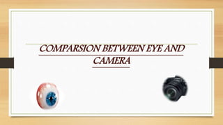 COMPARSION BETWEEN EYE AND
CAMERA
 