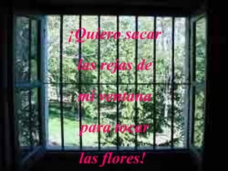 ¡Quiero sacar las rejas de mi ventana para tocar las flores!  
