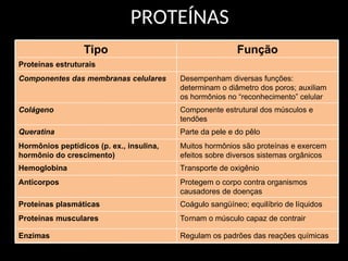 PROTEÍNAS
Tipo Função
Proteínas estruturais
Componentes das membranas celulares Desempenham diversas funções:
determinam o diâmetro dos poros; auxiliam
os hormônios no “reconhecimento” celular
Colágeno Componente estrutural dos músculos e
tendões
Queratina Parte da pele e do pêlo
Hormônios peptídicos (p. ex., insulina,
hormônio do crescimento)
Muitos hormônios são proteínas e exercem
efeitos sobre diversos sistemas orgânicos
Hemoglobina Transporte de oxigênio
Anticorpos Protegem o corpo contra organismos
causadores de doenças
Proteínas plasmáticas Coágulo sangüíneo; equilíbrio de líquidos
Proteínas musculares Tornam o músculo capaz de contrair
Enzimas Regulam os padrões das reações químicas
 
