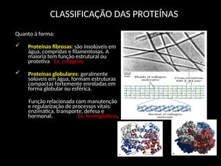 CLASSIFICAÇÃO DAS PROTEÍNAS
Quanto à forma:
 Proteínas fibrosas: são insolúveis em
água, compridas e filamentosas. A
maioria tem função estrutural ou
protetiva. Ex. colágeno
 Proteínas globulares: geralmente
solúveis em água, formam estruturas
compactas fortemente enroladas em
forma globular ou esférica.
Função relacionada com manutenção
e regularização de processos vitais:
enzimática, transporte, defesa e
hormonal. Ex. hemoglobina.
 