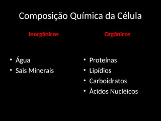 Composição Química da Célula
Inorgânicos
• Água
• Sais Minerais
Orgânicos
• Proteínas
• Lipídios
• Carboidratos
• Àcidos Nucléicos
 