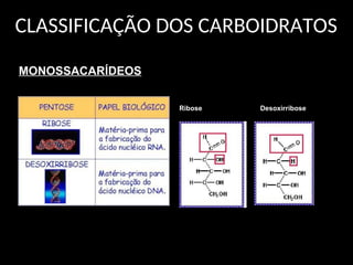 CLASSIFICAÇÃO DOS CARBOIDRATOS
MONOSSACARÍDEOS
Ribose Desoxirribose
 