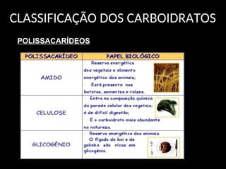 CLASSIFICAÇÃO DOS CARBOIDRATOS
POLISSACARÍDEOS
 