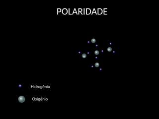 POLARIDADE
Oxigênio
Hidrogênio
 