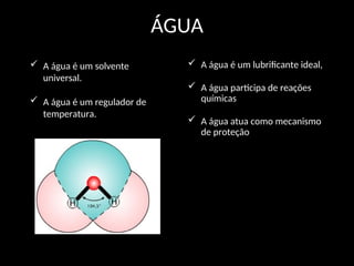ÁGUA
 A água é um solvente
universal.
 A água é um regulador de
temperatura.
 A água é um lubrificante ideal,
 A água participa de reações
químicas
 A água atua como mecanismo
de proteção
 