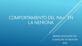 COMPORTAMIENTO DEL NA+ EN
LA NEFRONA
BRAYAN MOSQUERA PAZ
III SEMESTRE DE MEDICINA
2016
 