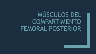 MÚSCULOS DEL
COMPARTIMENTO
FEMORAL POSTERIOR
 