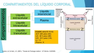 COMPARTIMENTOS DE LÍQUIDOS CORPORALES Y REGULACIÓN DEL SODIO.pptx
