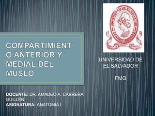 DOCENTE: DR. AMADEO A. CABRERA
GUILLÉN
ASIGNATURA: ANATOMIA I
UNIVERSIDAD DE
EL SALVADOR
FMO
 