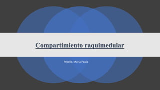 Compartimiento raquimedular
Pecelis, María Paula
 