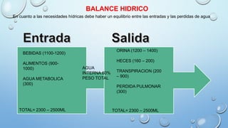 BEBIDAS (1100-1200)
ALIMENTOS (900-
1000)
AGUA METABOLICA
(300)
AGUA
INTERNA 60%
PESO TOTAL
ORINA (1200 – 1400)
HECES (160 – 200)
TRANSPIRACION (200
– 900)
PERDIDA PULMONAR
(300)
TOTAL= 2300 – 2500ML TOTAL= 2300 – 2500ML
BALANCE HIDRICO
En cuanto a las necesidades hídricas debe haber un equilibrio entre las entradas y las perdidas de agua
 