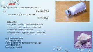 • SODIO:
PREDOMINA EN LÍQUIDO EXTRACELULAR:
142 A 145 MEQ/L
CONCENTRACIÓN INTRACELULAR:
12-14 MEQ/L
FUNCIONES:
 REGULA LA MAGNITUD DEL COMPARTIMIENTO EXTRACELULAR
 PARTICIPA EN LA GENERACIÓN DEL POTENCIAL DE ACCIÓN
 CONTROL DE LA CONTRACCIÓN MUSCULAR
 FUNDAMENTAL EN LOS MECANISMOS DE CO- Y CONTRANSPORTE
Filtra en el glomérulo
TCP reabsorbe 67%
Rama ascendente de hele reabsorbe 25%
TCD reabsorbe 5%
Porción terminal 3%
 