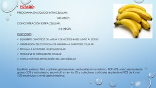 • POTASIO:
PREDOMINA EN LÍQUIDO INTRACELULAR:
140 MEQ/L
CONCENTRACIÓN EXTRACELULAR:
4-5 MEQ/L
FUNCIONES:
 EQUILIBRIO OSMÓTICO DEL AGUA Y DE ÁCIDOS-BASES JUNTO AL SODIO
 GENERACIÓN DEL POTENCIAL DE MEMBRANA EN REPOSO CELULAR
 REGULA LA ACTIVIDAD NEUROMUSCULAR
 PROMUEVE EL CRECIMIENTO CELULAR
 COFACTOR PARA REPLICACIÓN DEL ADN CELULAR
Equilibrio externo: filtra capilares glomerulares, reabsorbe en la nefrona, TCP 67%, rama ascendente
gruesa 20% y aldosterona secreta K y H en los TD y colectores corticales se pierde el 90% de K y el
10% excretado a nivel gastrointestinal.
 