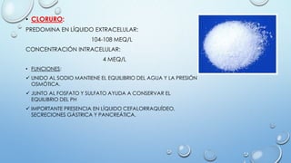 • CLORURO:
PREDOMINA EN LÍQUIDO EXTRACELULAR:
104-108 MEQ/L
CONCENTRACIÓN INTRACELULAR:
4 MEQ/L
• FUNCIONES:
 UNIDO AL SODIO MANTIENE EL EQUILIBRIO DEL AGUA Y LA PRESIÓN
OSMÓTICA.
 JUNTO AL FOSFATO Y SULFATO AYUDA A CONSERVAR EL
EQUILIBRIO DEL PH
 IMPORTANTE PRESENCIA EN LÍQUIDO CEFALORRAQUÍDEO,
SECRECIONES GÁSTRICA Y PANCREÁTICA.
 