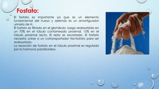 Fosfato:
El fosfato es importante ya que es un elemento
fundamental del hueso y además es un amortiguador
urinario de H.
El fosfato es filtrado en el glomérulo, luego reabsorbido en
un 70% en el túbulo contorneado proximal, 15% en el
túbulo proximal recto. El resto es excretado. El fosfato
necesita unirse a un cotransportador Na-fosfato para ser
reabsorbido.
La resorción de fosfato en el túbulo proximal es regulada
por la hormona paratiroidea.
 