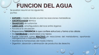 Se podrían resumir en los siguientes
puntos:
• SOPORTE o medio donde ocurren las reacciones metabólicas
• AMORTIGUADOR térmico
• TRANSPORTE de sustancias
• LUBRICANTE, amortiguadora del roce entre órganos
• Favorece la circulación
• Proporciona TURGENCIA lo que confiere estructura y forma a las células
• Da FLEXIBILIDAD y elasticidad a los tejidos
• Puede intervenir como REACTIVO en reacciones del metabolismo, aportando
hidrogeniones o hidroxilos al medio.
• Mantiene la homeostasis del medio interno
• Digestión, absorción y eliminación de productos de desecho
 