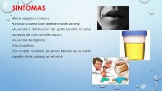 SINTOMAS
•Boca pegajosa o reseca
•Letargo o coma (con deshidratación severa)
•Ausencia o disminución del gasto urinario; la orina
aparece de color amarillo oscuro
•Ausencia de lágrimas
•Ojos hundidos
•Fontanelas hundidas (el punto blando en la parte
superior de la cabeza) en el bebé
 