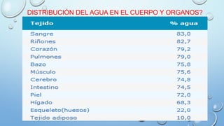 DISTRIBUCIÓN DEL AGUA EN EL CUERPO Y ORGANOS?
 
