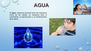El agua, sustancia principal tanto del organismo
como de las células, es necesaria para el
crecimiento, la reproducción y el mantenimiento
de la salud.
 