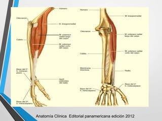 Anatomía Clínica Editorial panamericana edición 2012
 