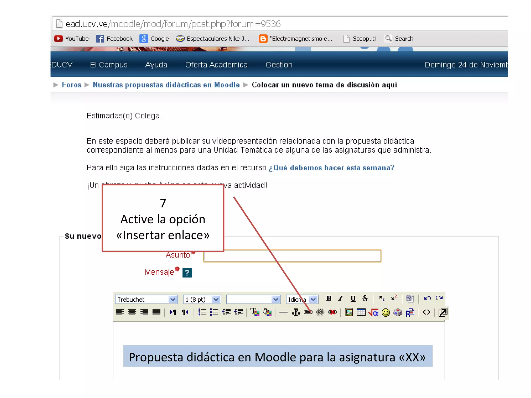 7
Active la opción
«Insertar enlace»
Propuesta didáctica en Moodle para la asignatura «XX»