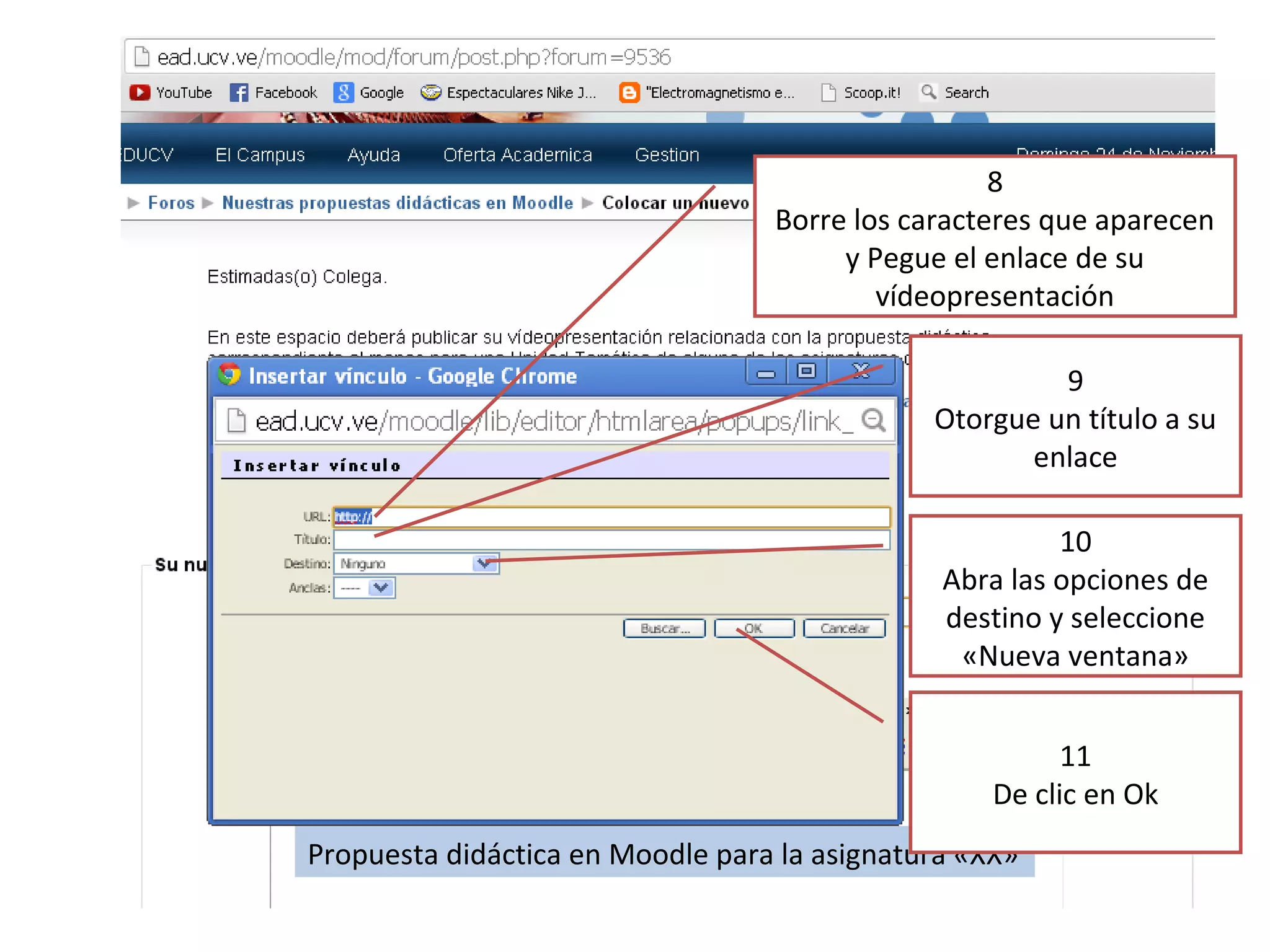 8
Borre los caracteres que aparecen
y Pegue el enlace de su
vídeopresentación
9
Otorgue un título a su
enlace
10
Abra las opciones de
destino y seleccione
«Nueva ventana»
11
De clic en Ok
Propuesta didáctica en Moodle para la asignatura «XX»
