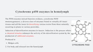 Compartmentalisation of enzymes in insects | PPTX