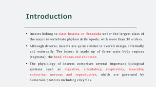 Compartmentalisation of enzymes in insects | PPTX